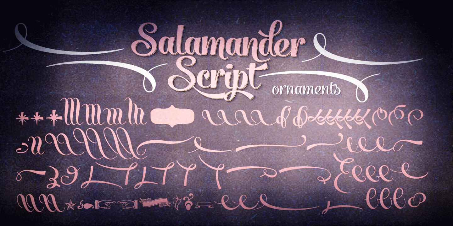 Beispiel einer Salamander Script Bold-Schriftart